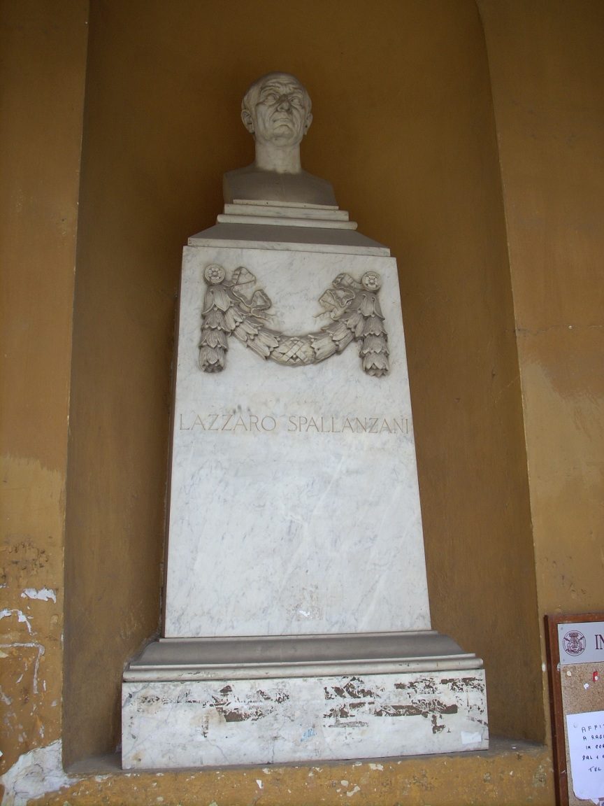 Lazzaro%20Spallanzani%20monument%2C%20University%2C%20Pavia%20-%201.jpg